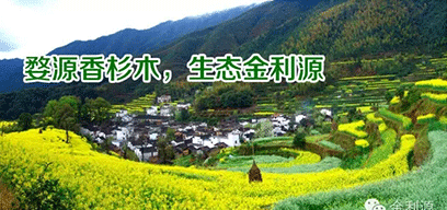 金利源板材/金品質(zhì) 源生態(tài).從源頭精挑細選，為品質(zhì)保駕護航——中國板材十大品牌品質(zhì)篇