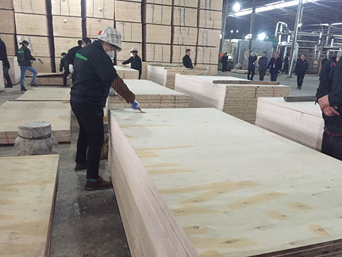 圖片4.png 圖片4.png