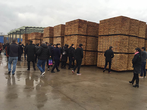 圖片5.png 圖片5.png