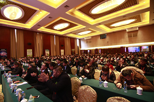 圖片11.png 圖片11.png