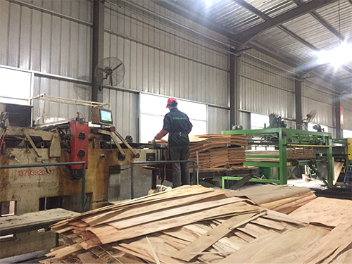 圖片19.png 圖片19.png