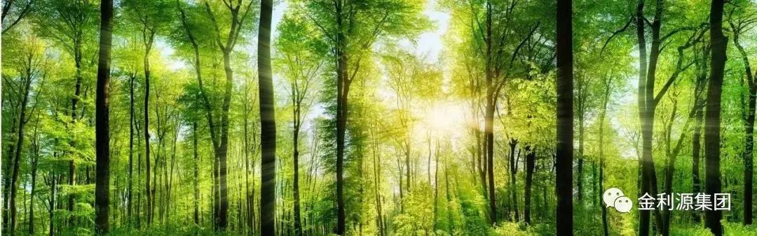 植樹(shù)節(jié) | 金利源帶你享受綠色家居生活！