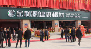 金利源發(fā)展歷程