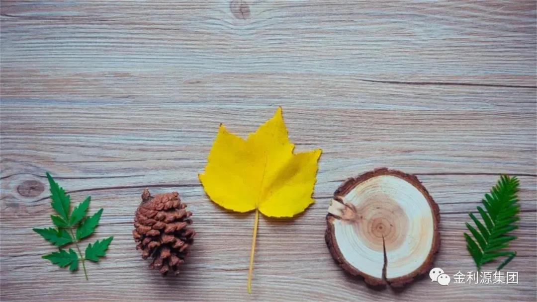 秋季地板 | 生活有“藝”思，地板是基調(diào)